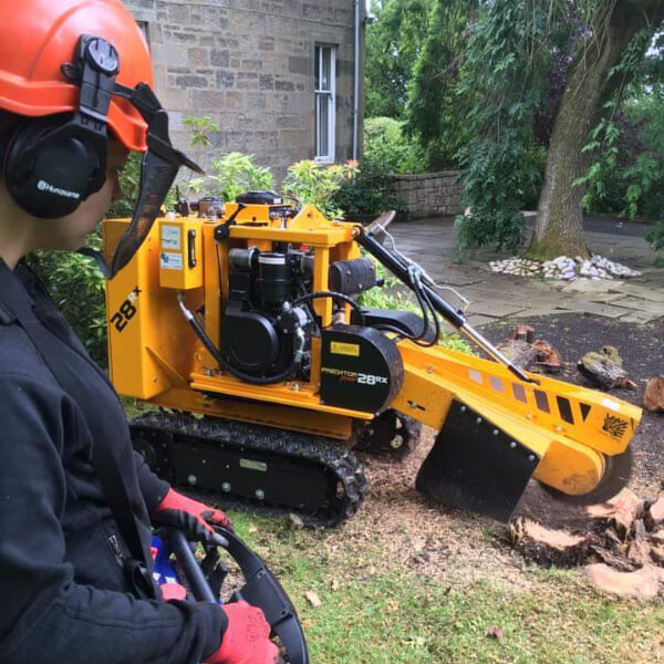 image of tree stump being removed with equipment